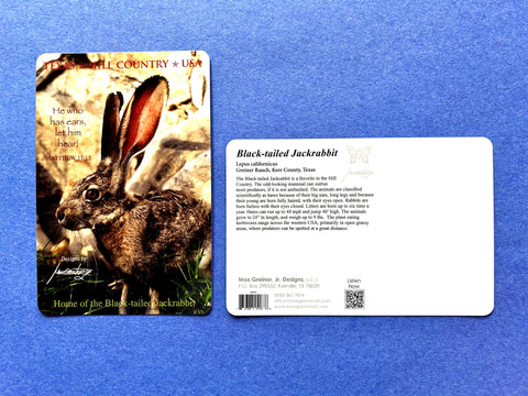 Postcard - Jackrabbit