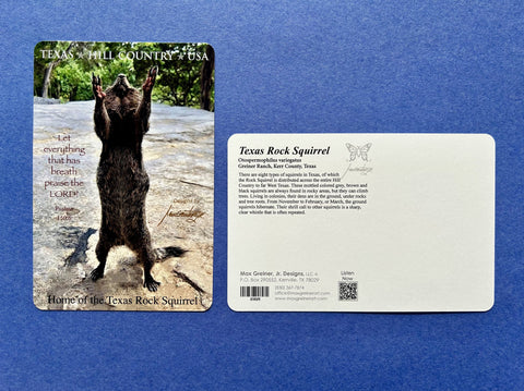 Postcard - Texas Rock Squirrel