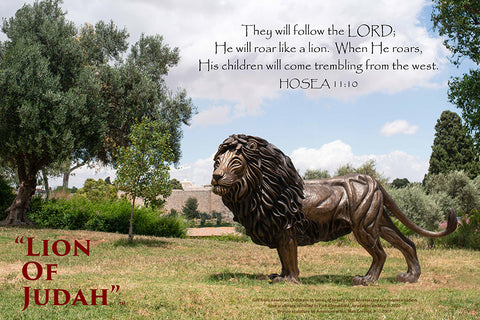 "Lion of Judah"-Bloomfield Park, Jerusalem 24"x 36" Canvas Print