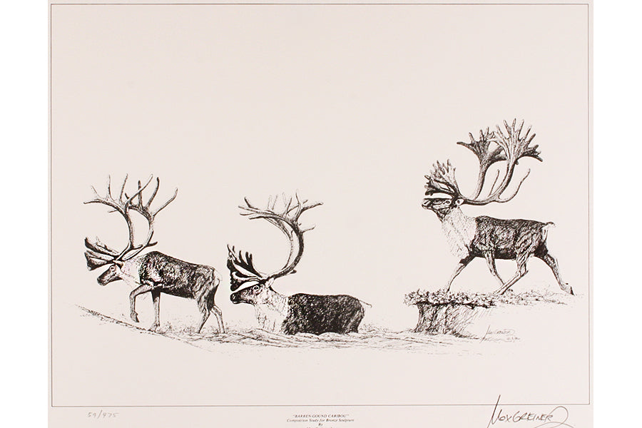 Wildlife: Drawing Print “Barren Ground