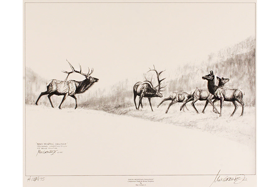 Wildlife: Drawing Print “Rocky Mountain Challenge