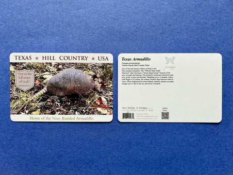 Postcard - Nine-Banded Armadillo