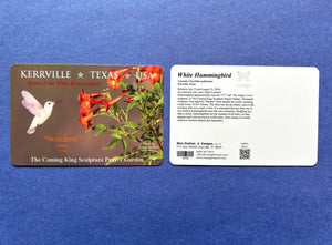 Postcard - Hummingbird
