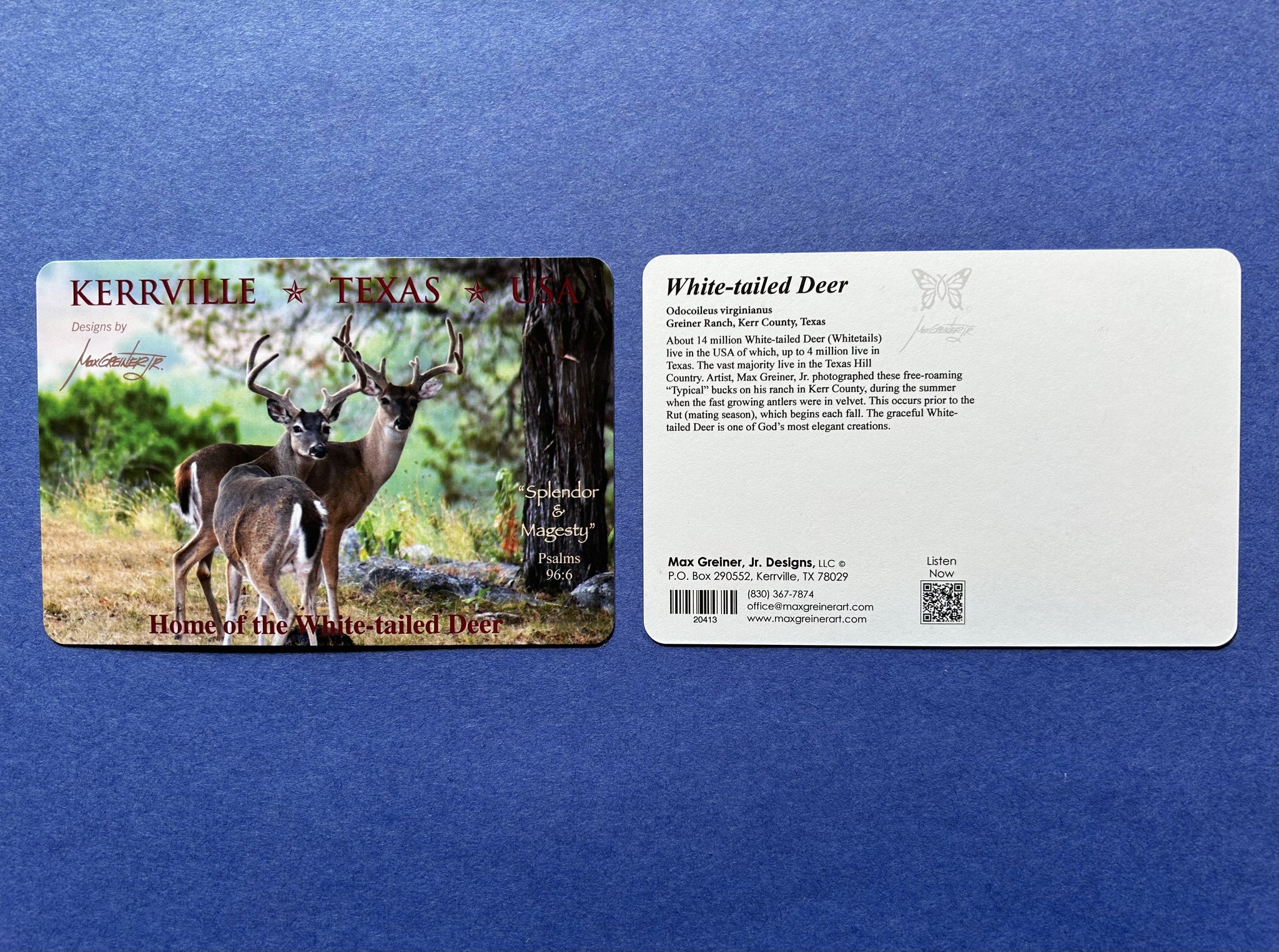 Postcard - Buck, Double