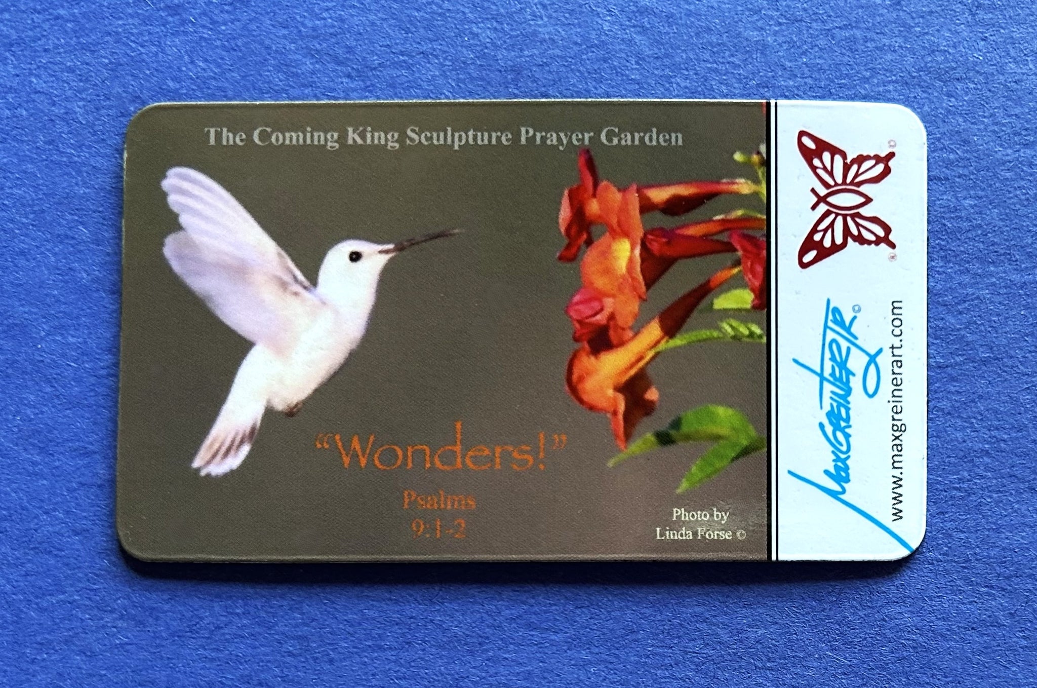 Hummingbird Magnet