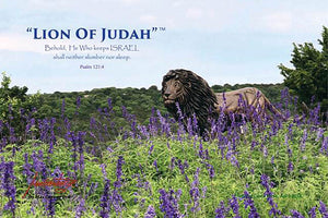 "Lion of Judah" 24"x 36" Canvas Print Flowers (Psalm 121:4)