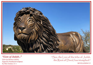 "Lion of Judah" Majestic Mane - 6 Note Cards