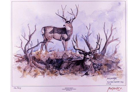 Wildlife: Drawing Print  “Mountain Muleys" (Mule Deer)