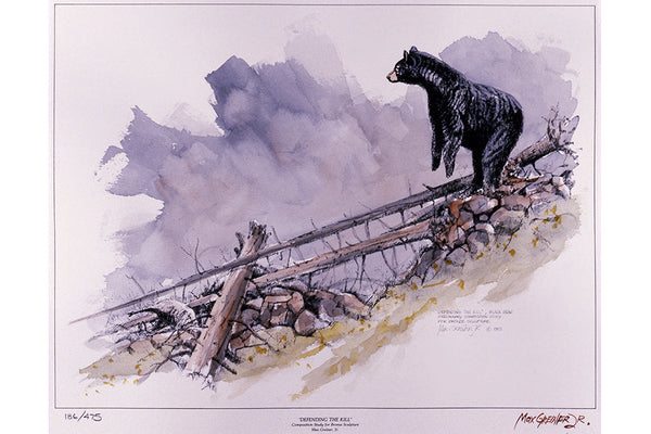 Wildlife: Drawing Print  “Defending the Kill" (Black Bear)