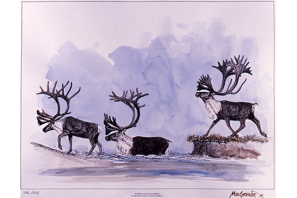 Wildlife: Drawing Print “Barren Ground" (Caribou)