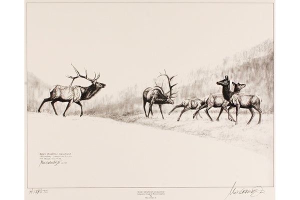 Wildlife: Drawing Print “Rocky Mountain Challenge" (Elk)